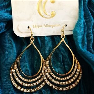 ✨ Brand New Charming Charlie Earrings ✨